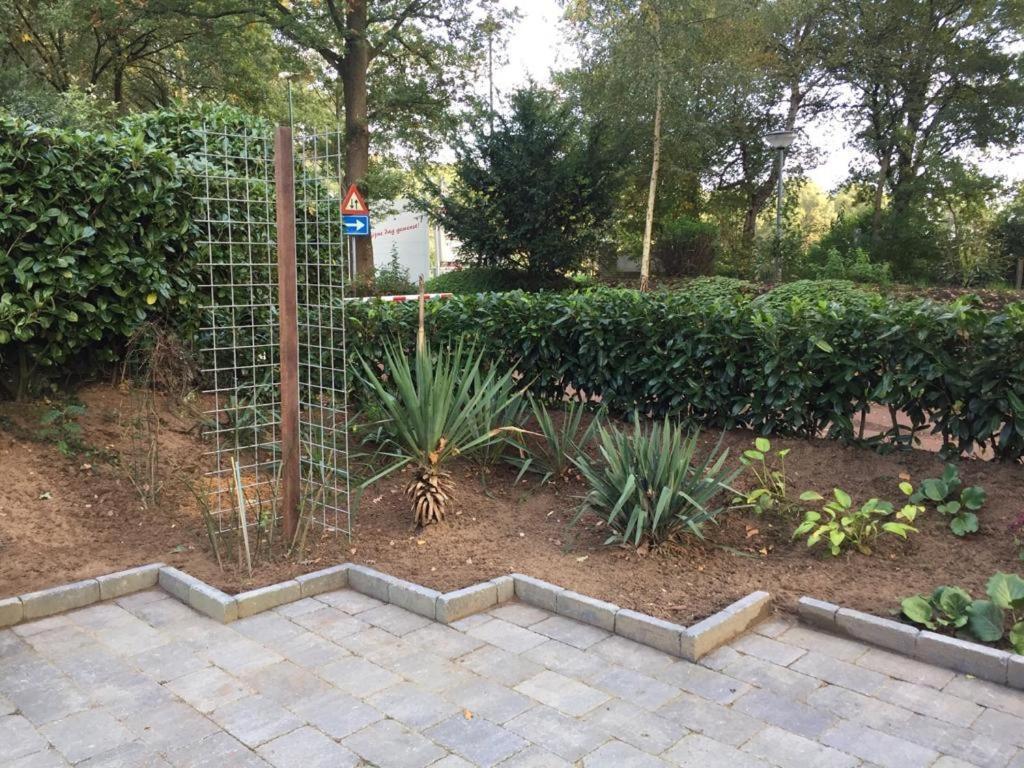 Rumah Kita, Bungalow Met 2 Slaapkamers In Het Mooie Drenthe Erm Zewnętrze zdjęcie